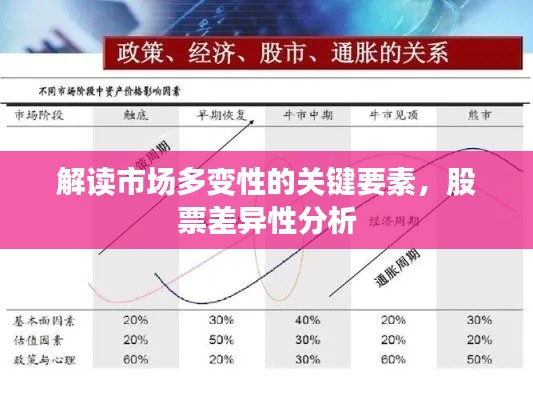 解读市场多变性的关键要素，股票差异性分析