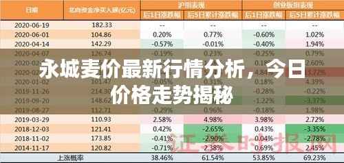 永城麦价最新行情分析，今日价格走势揭秘