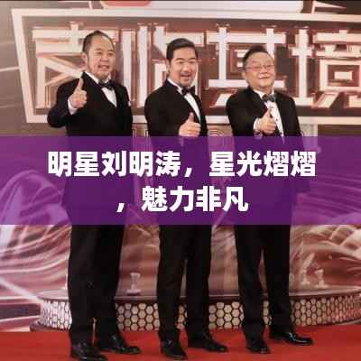 明星刘明涛，星光熠熠，魅力非凡