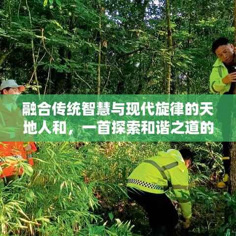 融合传统智慧与现代旋律的天地人和，一首探索和谐之道的歌曲