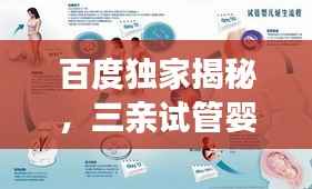 百度独家揭秘，三亲试管婴儿深度解读与真相揭秘