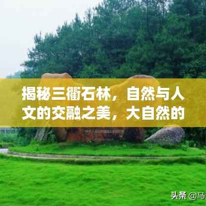 揭秘三衢石林,自然与人文的交融之美,大自然的鬼斧神工欣赏