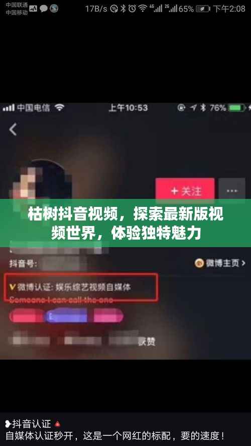 枯树抖音视频,探索最新版视频世界,体验独特魅力