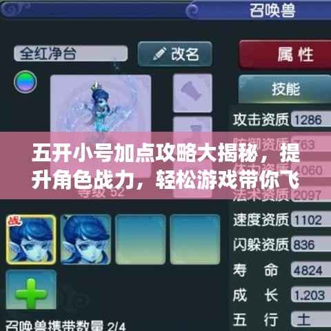 五开小号加点攻略大揭秘，提升角色战力，轻松游戏带你飞！